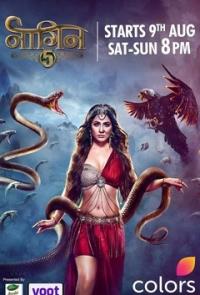 Новый облик змеи